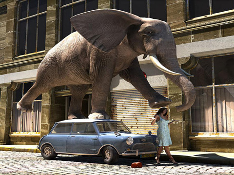Слон върху кола
