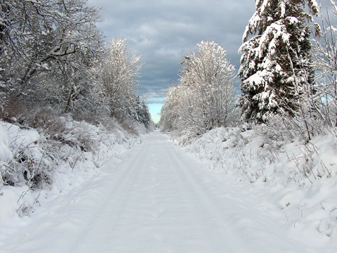 Снежен път