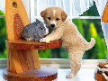 Кученце и заек